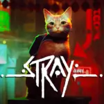Everything We Know About Stray So Far