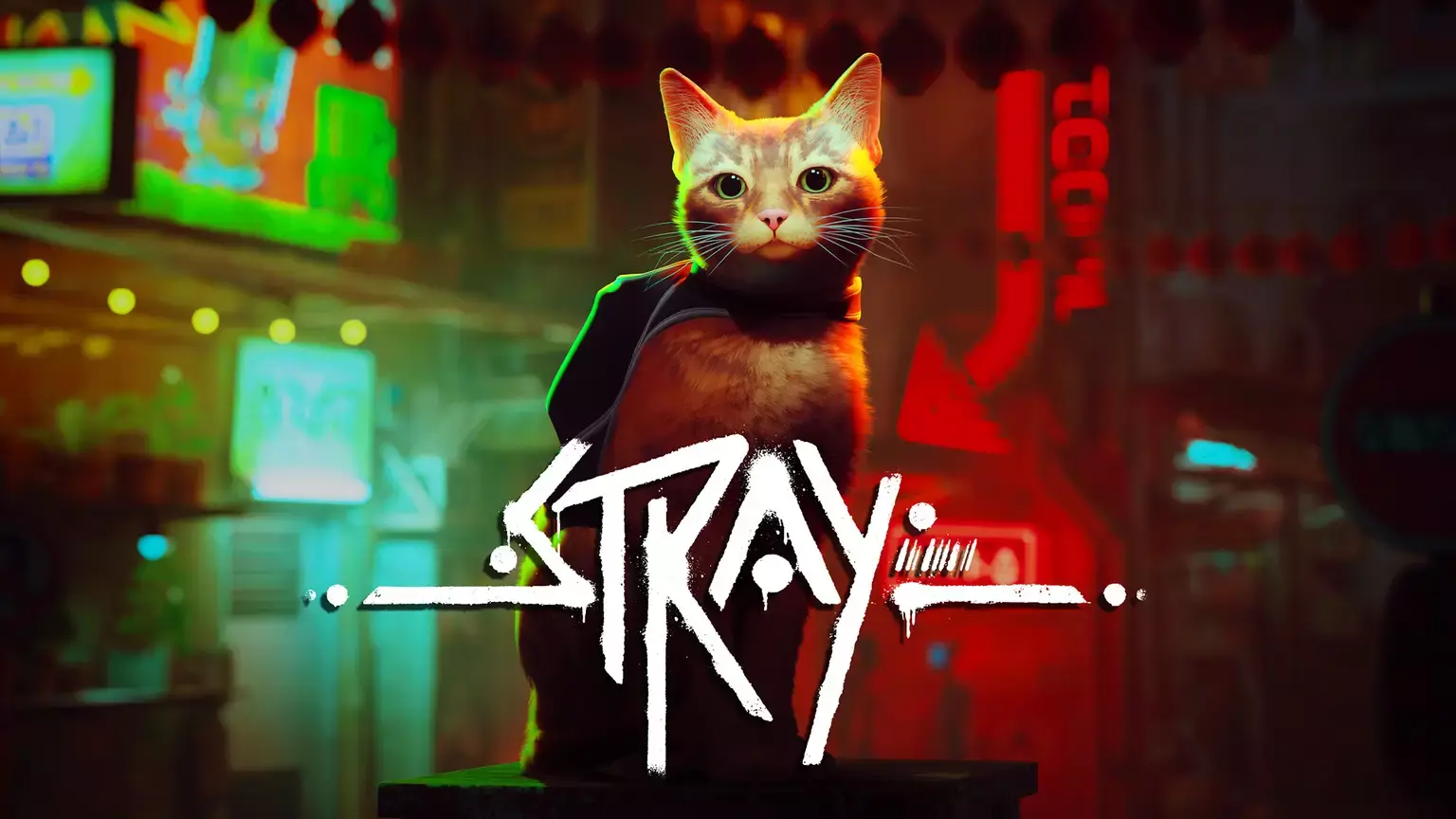 Cyberpunk city in greens, reds and black in the background, In the centre of the foreground sits a ginger cat with a black backpack on. Overlaid on top is the word Stray in white.