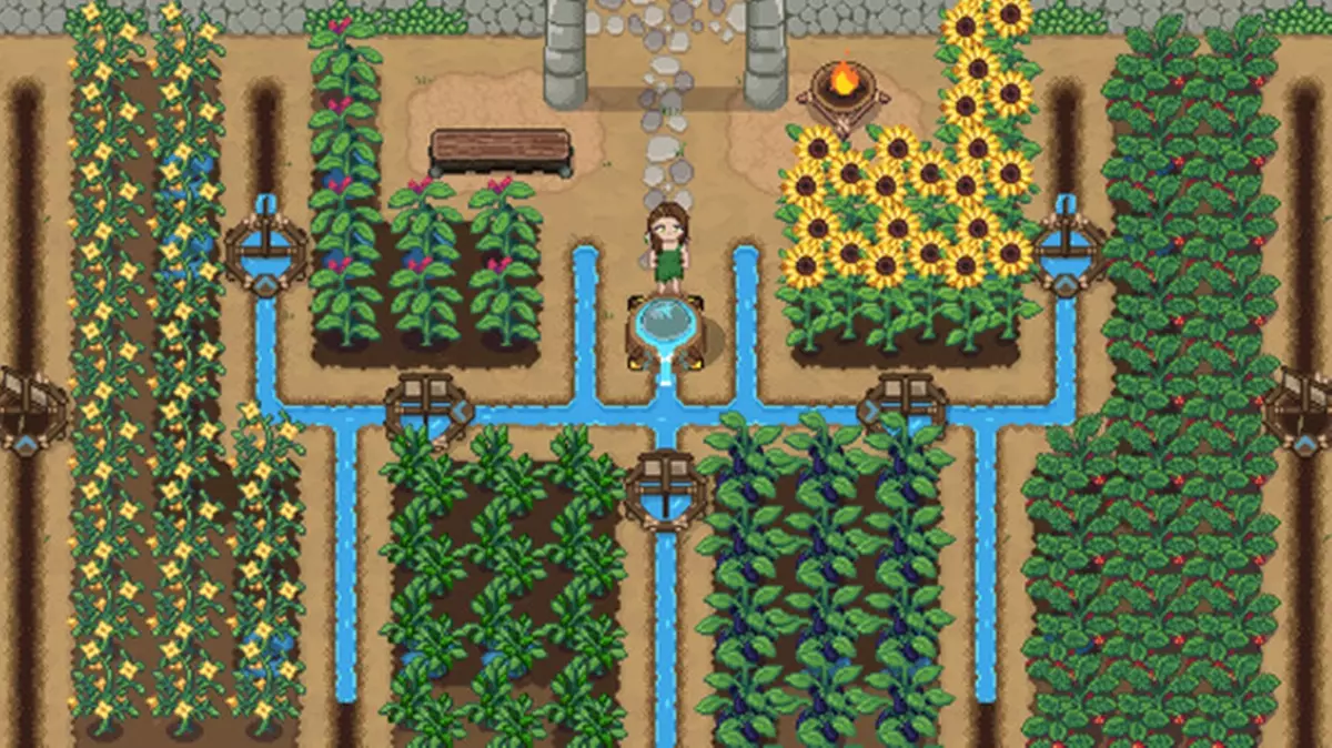 Roots of Pacha seeds guide - image of farm