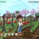Story of Seasons A Wonderful Life Gift Guide