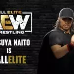 Tetsuya Naito CAW Formula  - AEW Fight Forever