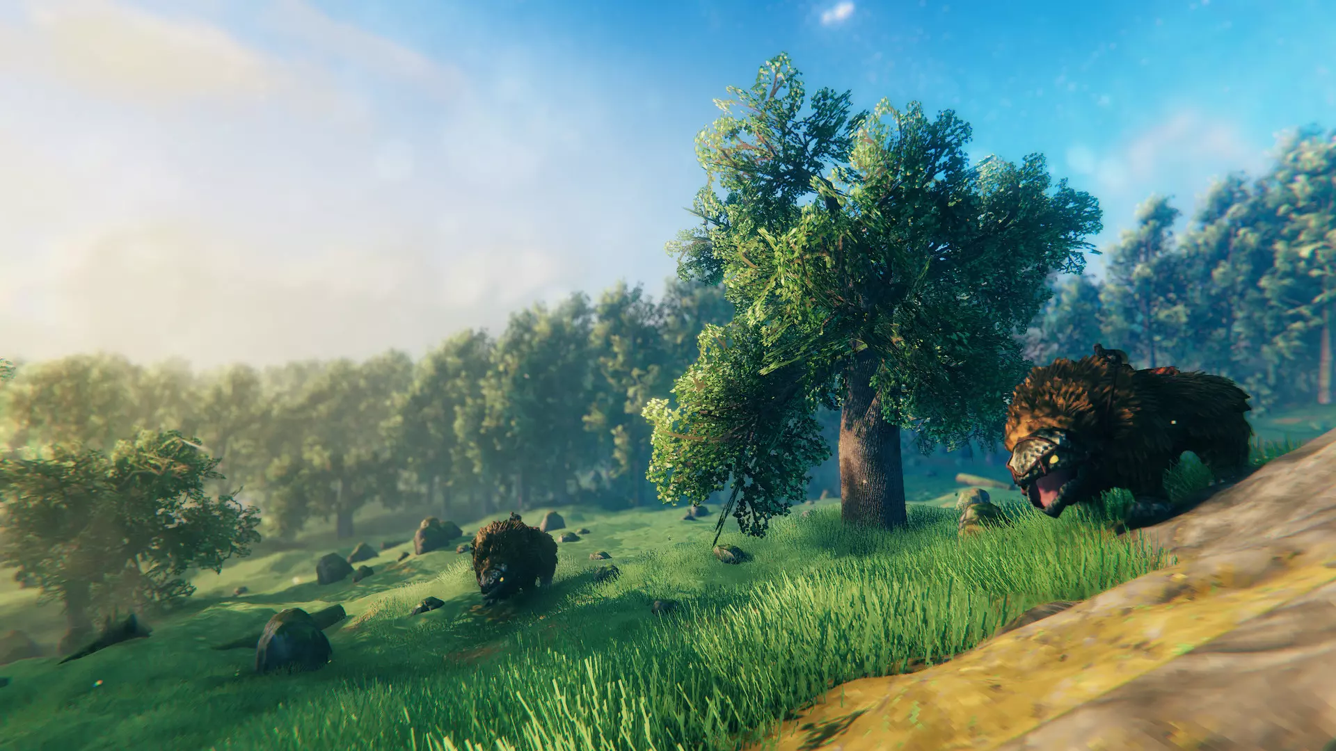 Valheim Chain Guide - image from gameplay