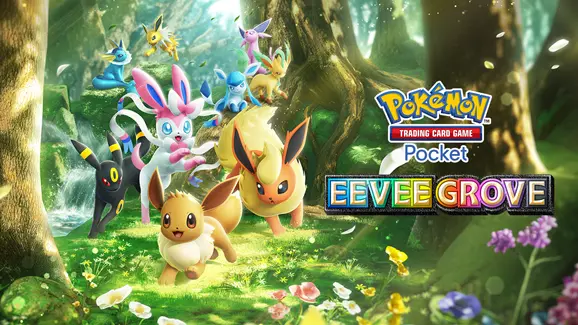Eevee Grove Packs