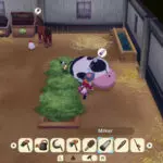 Story of Seasons Grand Bazaar Tea Leaves Guide